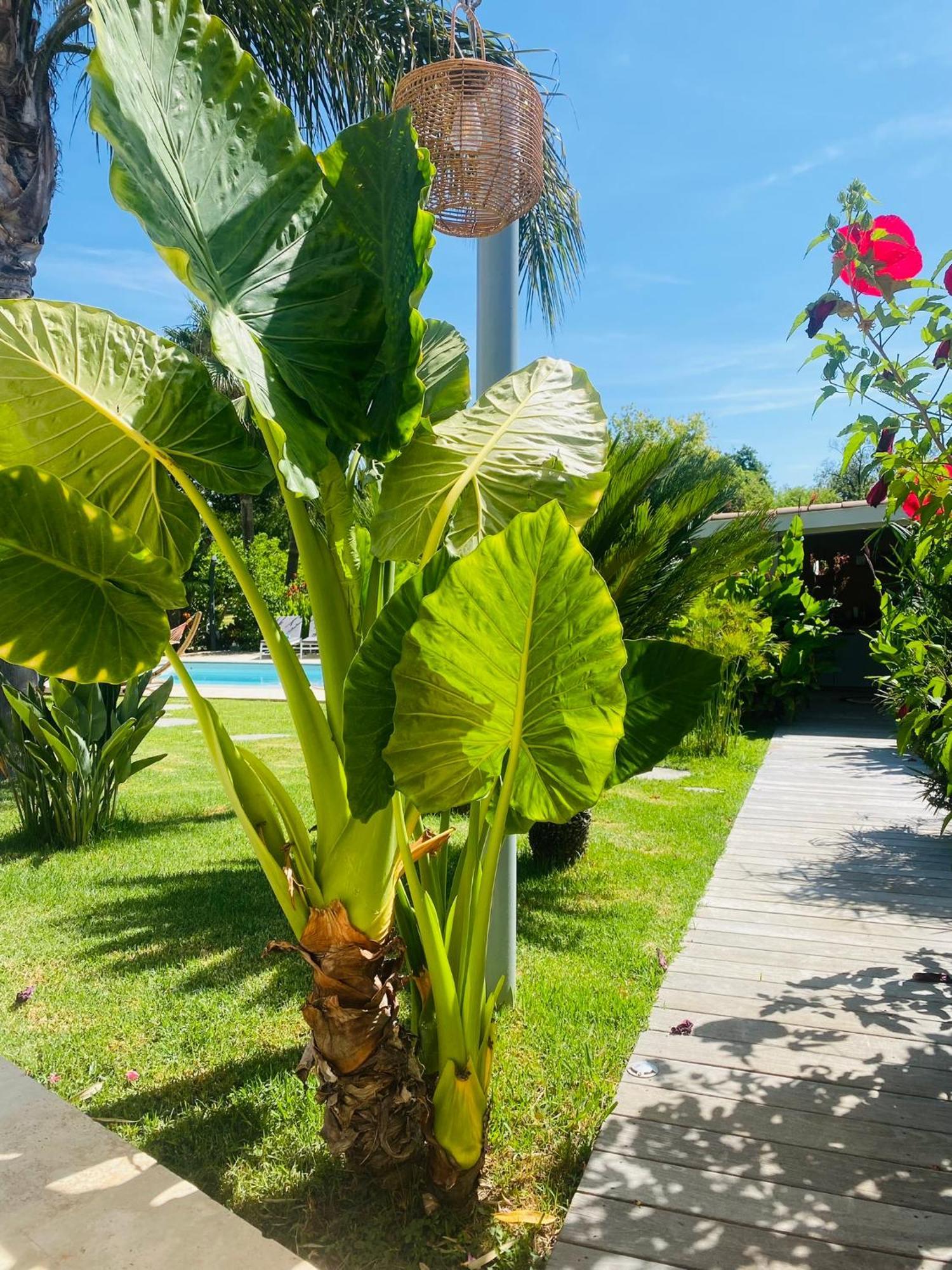 Le Cocoon Lodge Du Gapeau & Massage 索列斯蓬 外观 照片